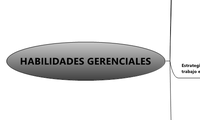 HABILIDADES GERENCIALES