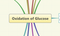 Oxidation of Glucose