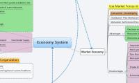 Economy System