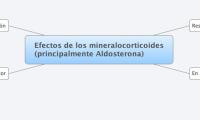 Efectos de los mineralocorticoides
(principalmente Aldosterona)