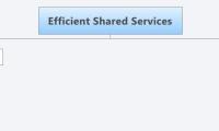 Efficient Shared Services