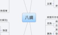 八綱