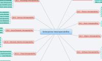 Enterprise Interoperability