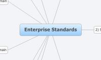 Enterprise Standards