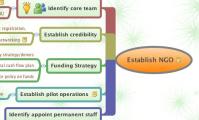 Establish NGO