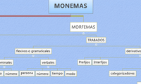 MONEMAS