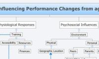 Factors Influencing Performance Changes from age 5 to 18