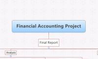 Financial Accounting Project 