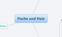 Fische und Haie