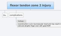 flexor tendon zone 2 injury