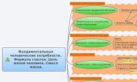 Фундаментальные человеческие потребности. Формула счастья. Цель жизни человека. Смысл жизни.