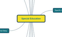 Special Education