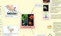 GERMS 病菌