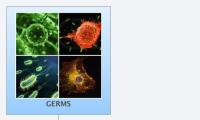 GERMS