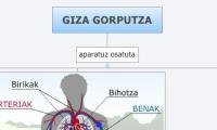 GIZA GORPUTZA