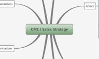 GMS | Sales Strategy
