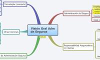 Visión Gral Adm de Seguros