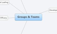 Groups & Teams