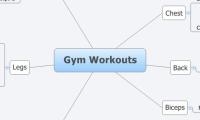 Gym Workouts