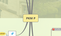 PKM P