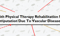 Satisfaction and Perceived Problems with Physical Therapy Rehabilitation Services for Patients with  Lower Limb Amputation Due to Vascular Diseases