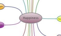 Happiness