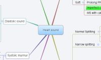 Heart sound
