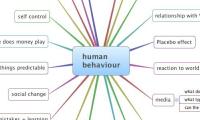 human behaviour