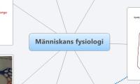 Människans fysiologi