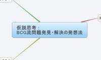 仮説思考 :
 BCG流問題発見・解決の発想法