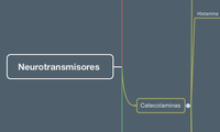 Neurotransmisores