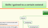 Skills I gained to a certain extend
