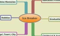 Ice Breaker