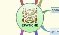 EPATICHE