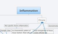 Inflammation