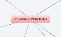 Influenza A-Virus H1N1