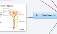 Introduction to Kidneys and Body Fluids