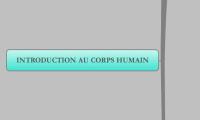 INTRODUCTION AU CORPS HUMAIN