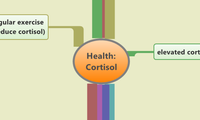Health:
Cortisol