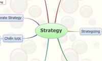 Strategy