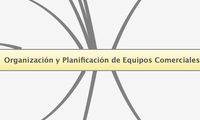 Organización y Planificación de Equipos Comerciales