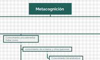 Metacognición