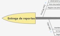 Entrega de reportes