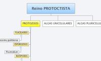 Reino PROTOCTISTA