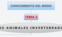 CONOCIMIENTO DEL MEDIO