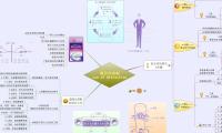 吸引力法則
Law of Attraction