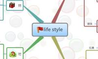 life style