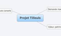 Projet Tilleuls