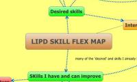 LIPD SKILL FLEX MAP