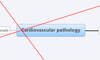 Cardiovascular pathology